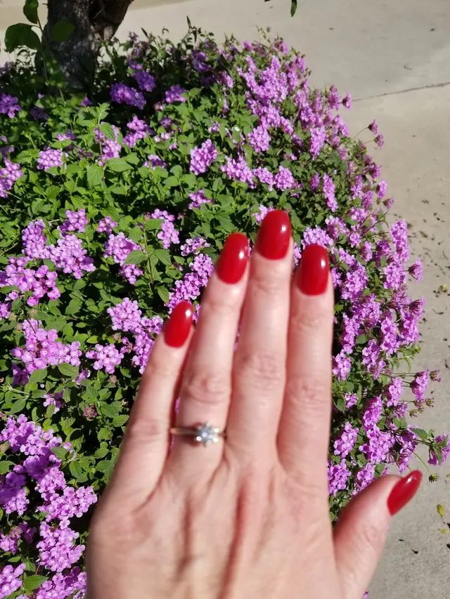 Kaylee Organic Nails Spa — customer photo 9