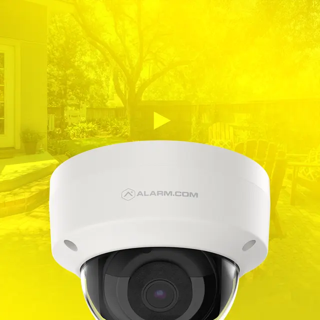 Sting Alarm — photo from the business 4