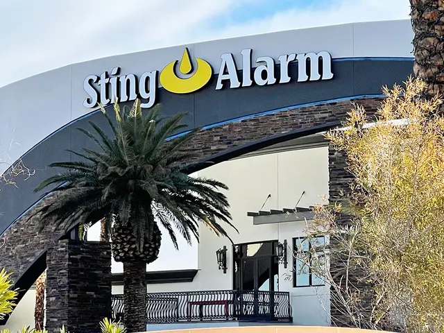 Sting Alarm — photo from the business 1