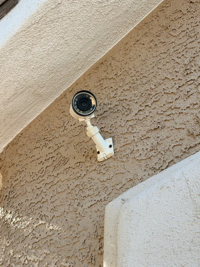 Sting Alarm — customer photo 5