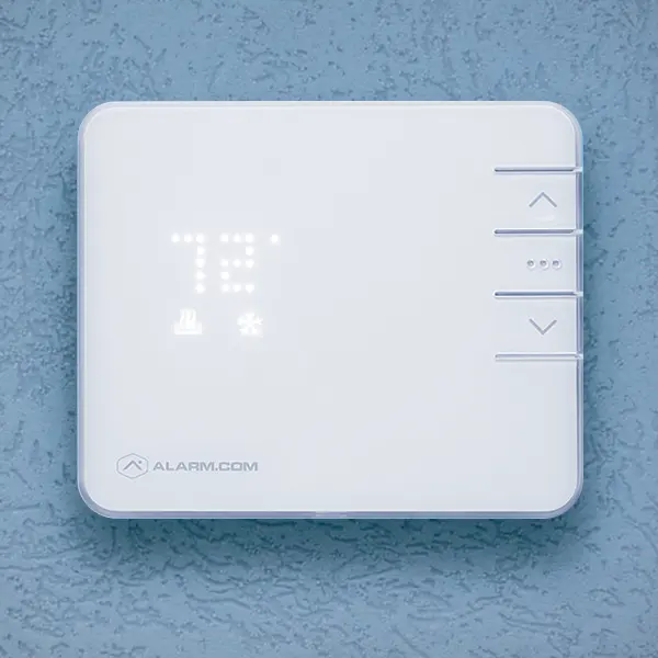 Sting Alarm — photo from the business 11