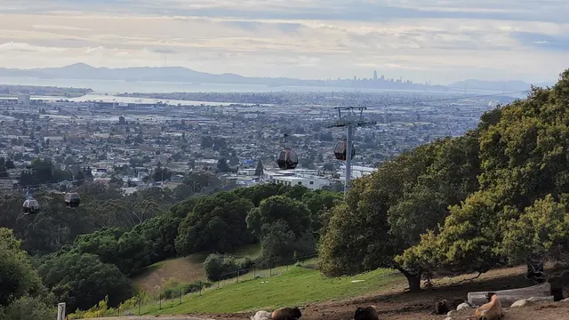 California Trail at Oakland Zoo — customer photo 2