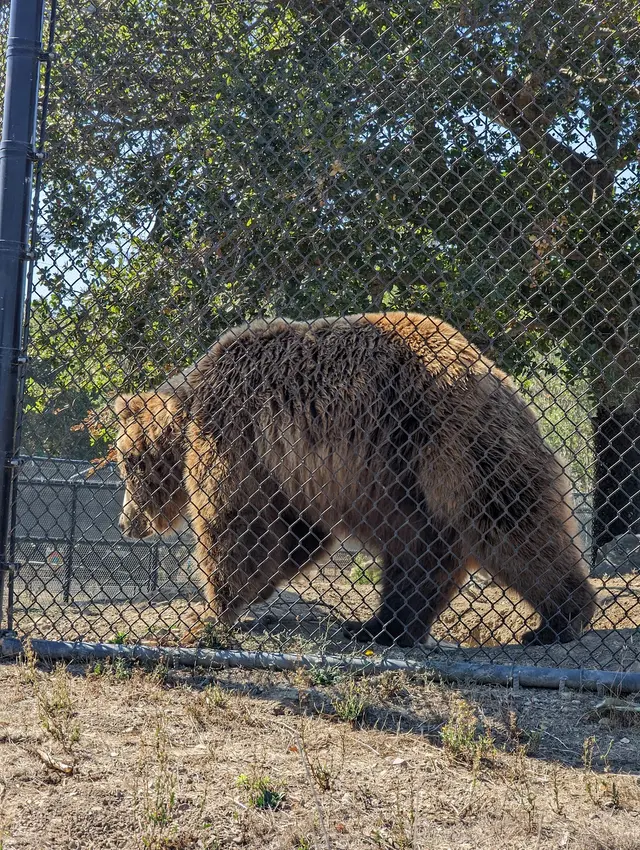 California Trail at Oakland Zoo — customer photo 7