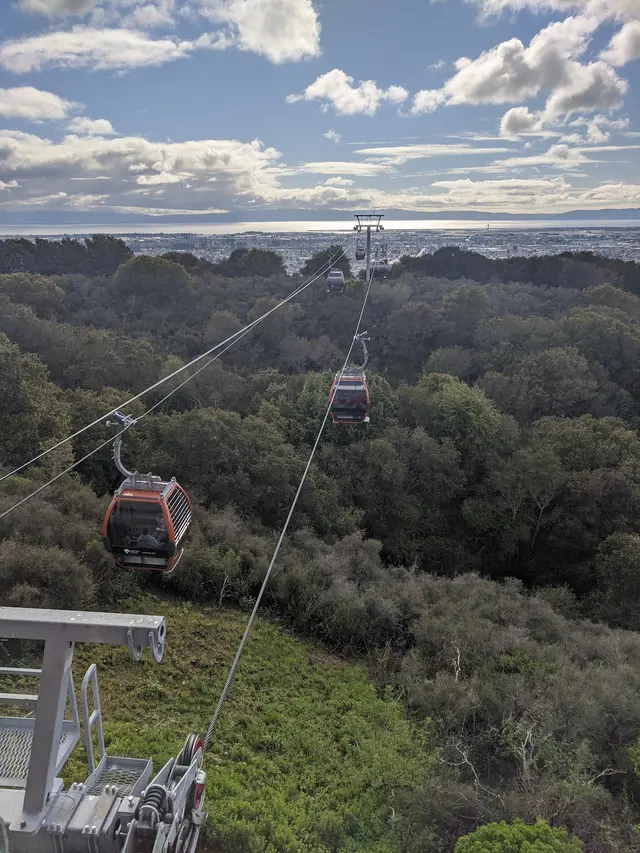 California Trail at Oakland Zoo — customer photo 4