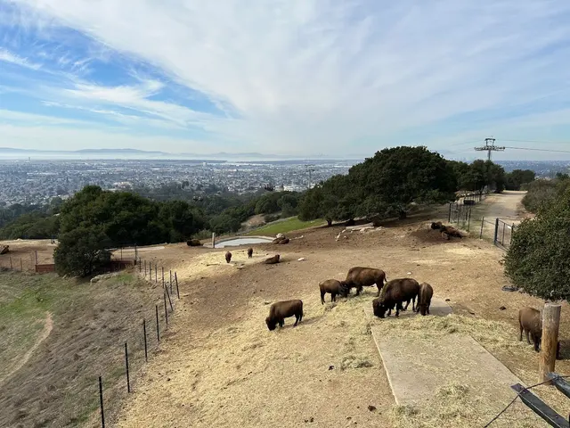 California Trail at Oakland Zoo — customer photo 1