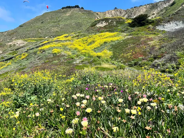 Mussel Rock Park — customer photo 10
