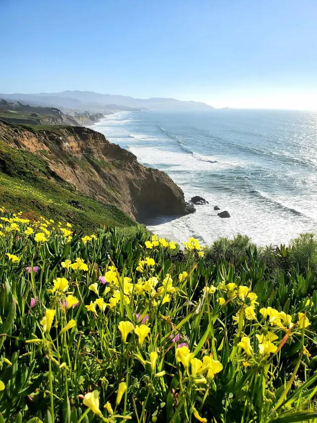 Mussel Rock Park — customer photo 9
