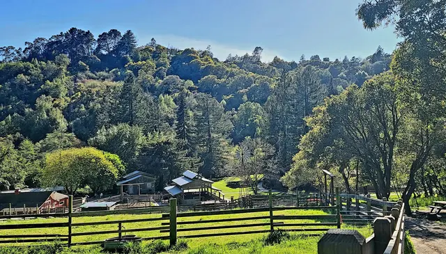 Tilden Nature Area — customer photo 5