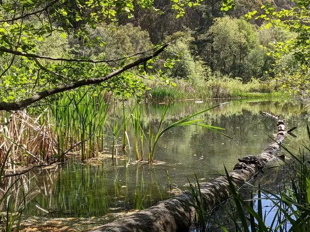 Tilden Nature Area — customer photo 6