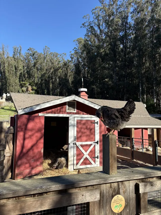 Tilden Nature Area — customer photo 12