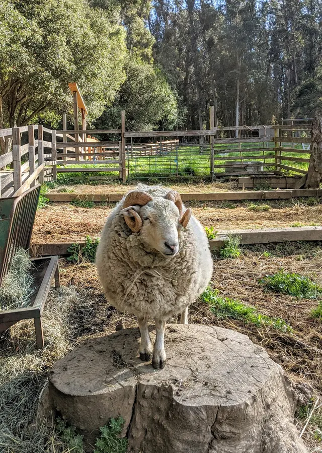 Tilden Nature Area — customer photo 9