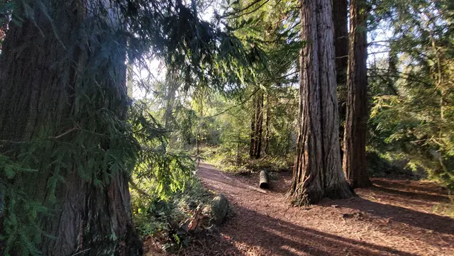 Tilden Nature Area — customer photo 1
