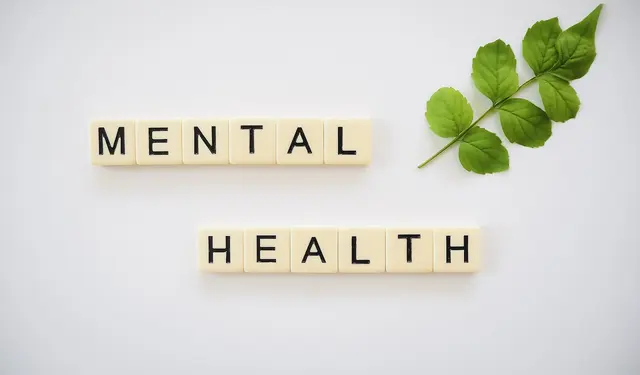 Fig Tree Behavioral Wellness — photo from the business 10