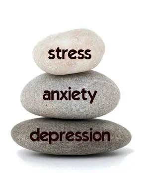 Fig Tree Behavioral Wellness — photo from the business 7
