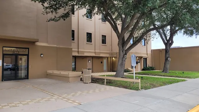 Fig Tree Behavioral Wellness — photo from the business 3