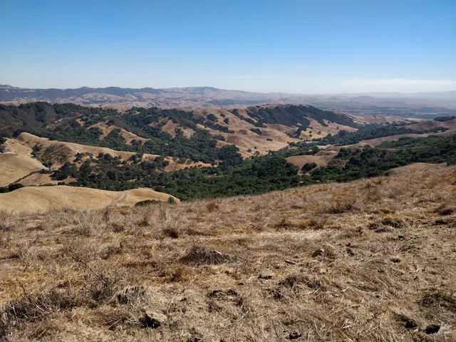 Las Trampas Wilderness Regional Preserve — customer photo 6