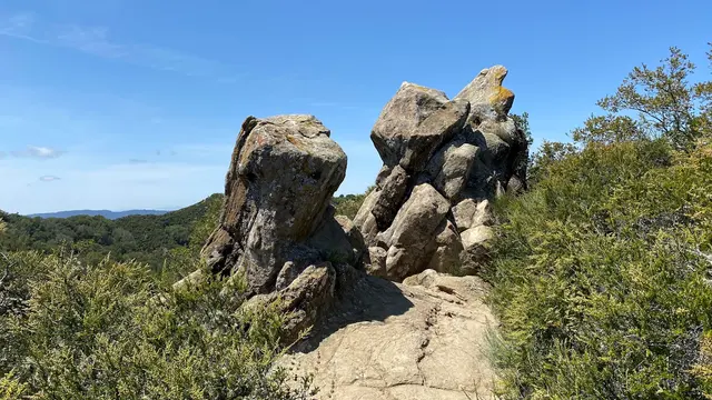 Las Trampas Wilderness Regional Preserve — customer photo 12