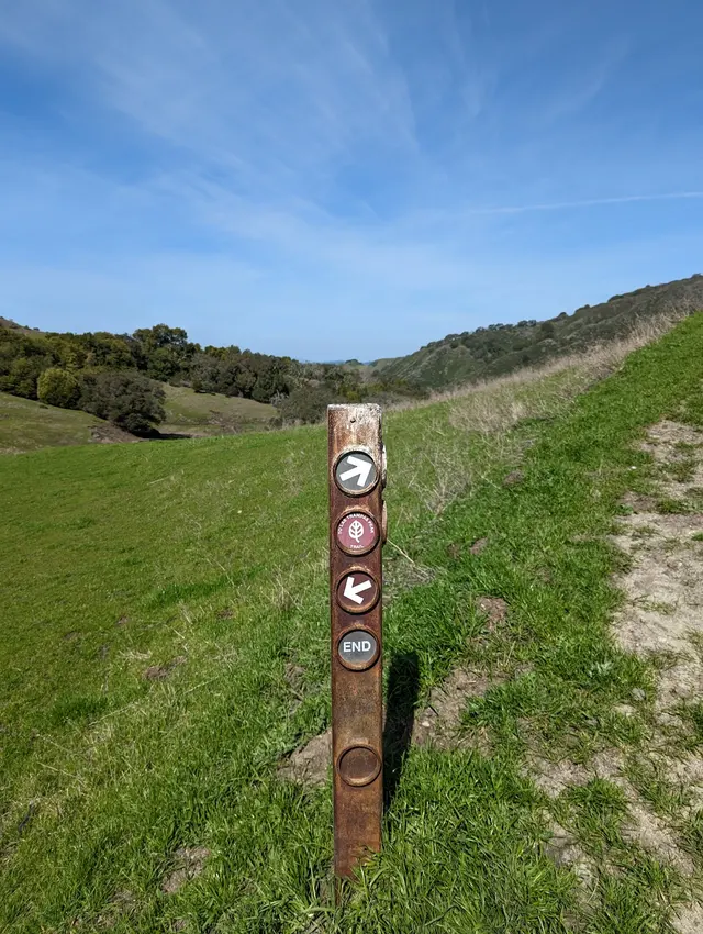 Las Trampas Wilderness Regional Preserve — customer photo 8