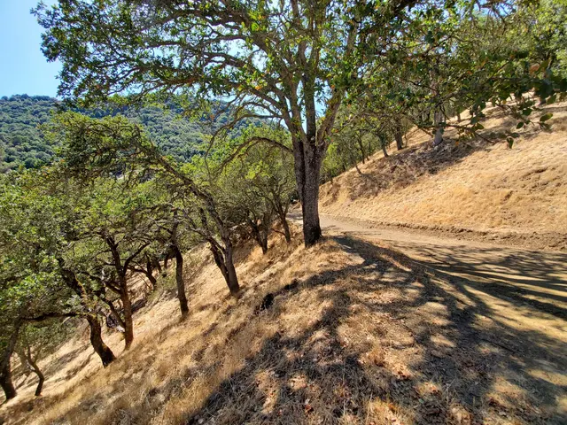 Las Trampas Wilderness Regional Preserve — customer photo 9