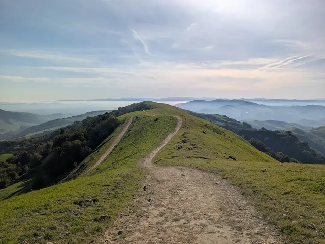 Customer photo of work by Las Trampas Wilderness Regional Preserve, from B's review