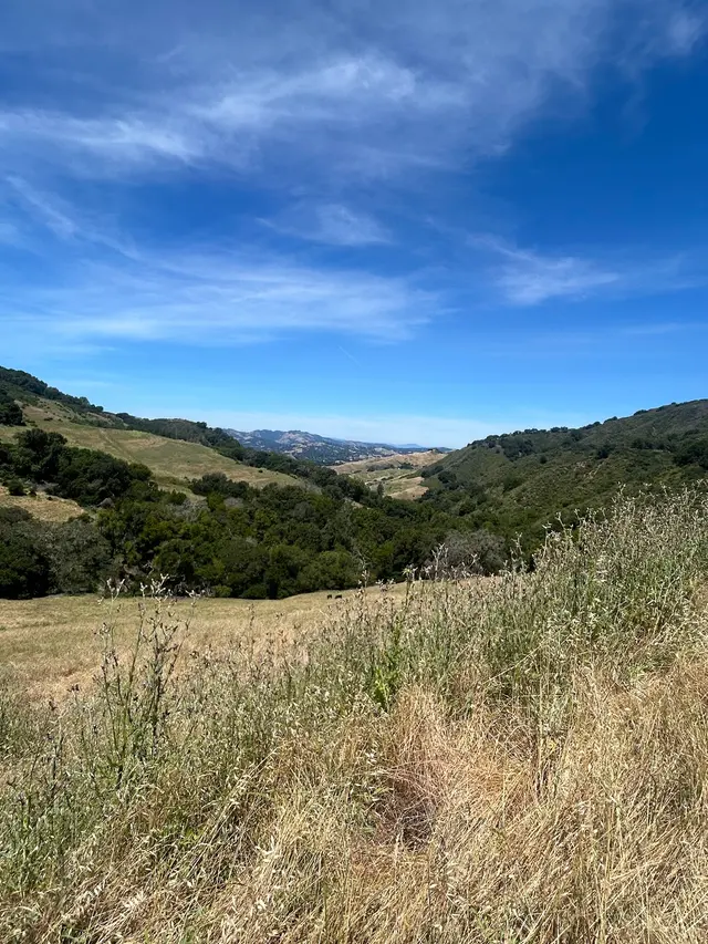 Las Trampas Wilderness Regional Preserve — customer photo 10