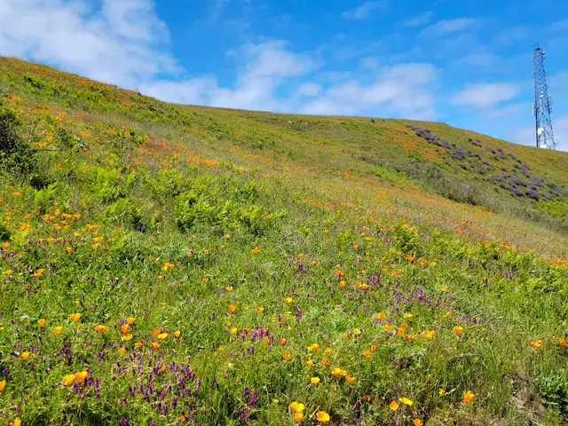 Las Trampas Wilderness Regional Preserve — customer photo 2
