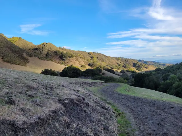 Las Trampas Wilderness Regional Preserve — customer photo 4