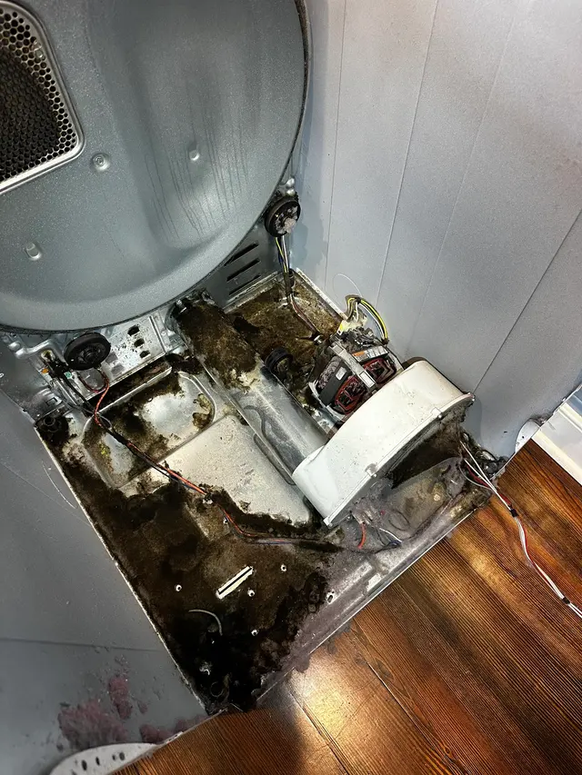 Elemental Appliance Repair — photo from the business 6