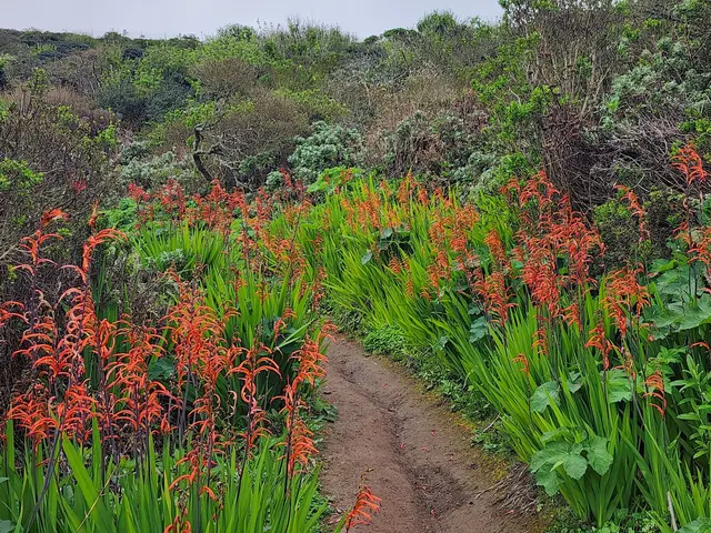 San Bruno Mountain State Park — customer photo 9