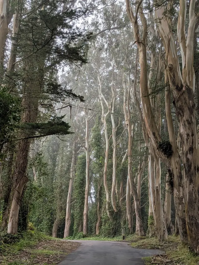 San Bruno Mountain State Park — customer photo 4