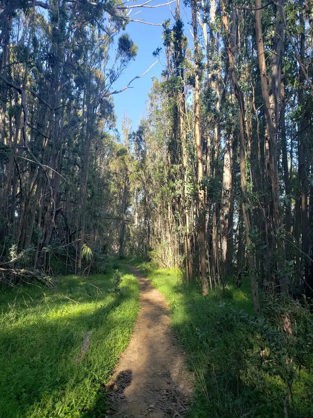 San Bruno Mountain State Park — customer photo 3