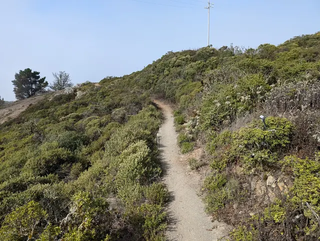San Bruno Mountain State Park — customer photo 6