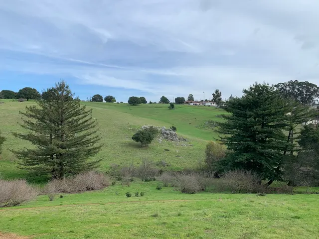 Knowland Park Open Space — customer photo 3