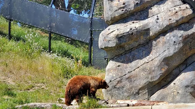 Knowland Park Open Space — customer photo 10