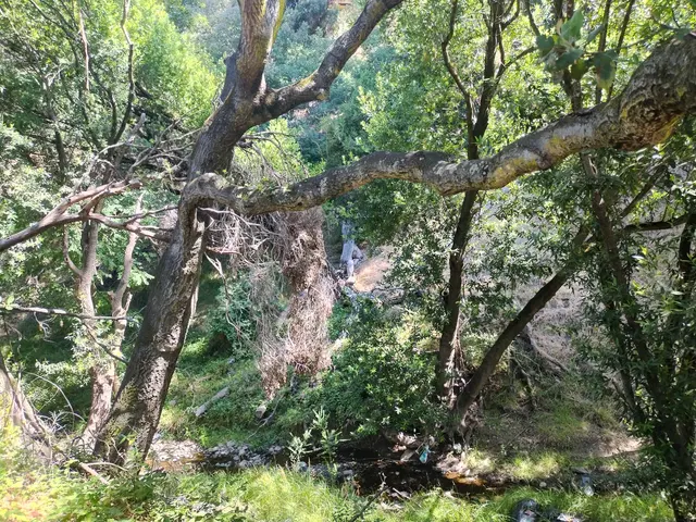 Knowland Park Open Space — customer photo 6