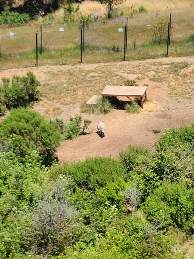 Knowland Park Open Space — customer photo 9