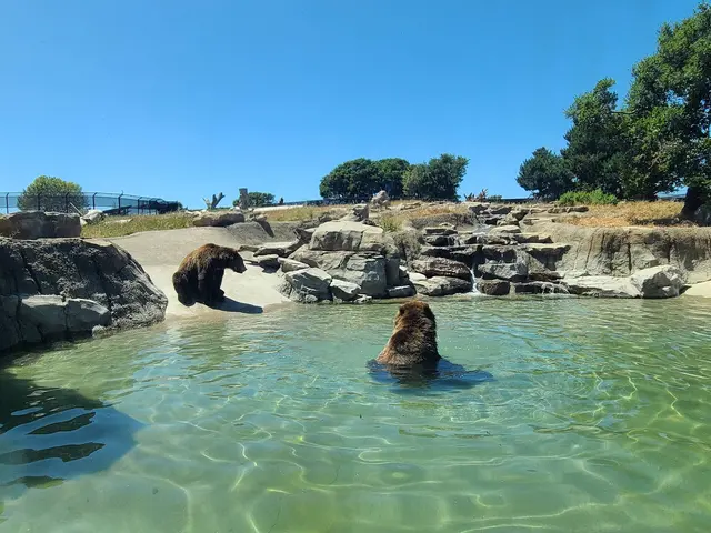 Knowland Park Open Space — customer photo 4