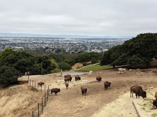 Knowland Park Open Space — customer photo 2