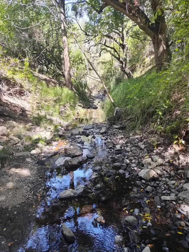 Knowland Park Open Space — customer photo 11
