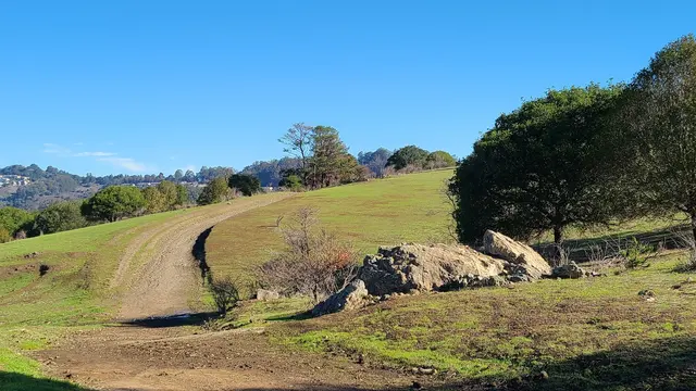 Customer photo of work by Knowland Park Open Space, from Lydia B.'s review