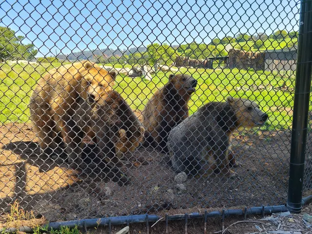 Knowland Park Open Space — customer photo 5