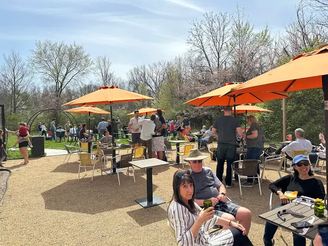 The Rejoicing Vine Winery — photo from the business 3