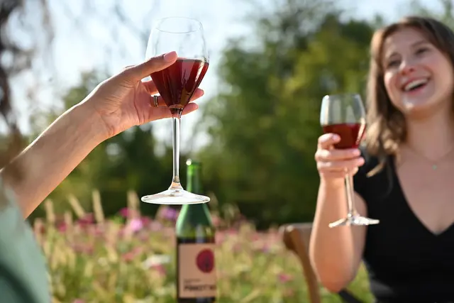 The Rejoicing Vine Winery — photo from the business 1