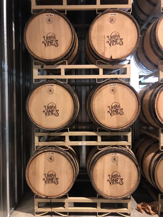 Urban Vines Winery & Brewery — photo from the business 7