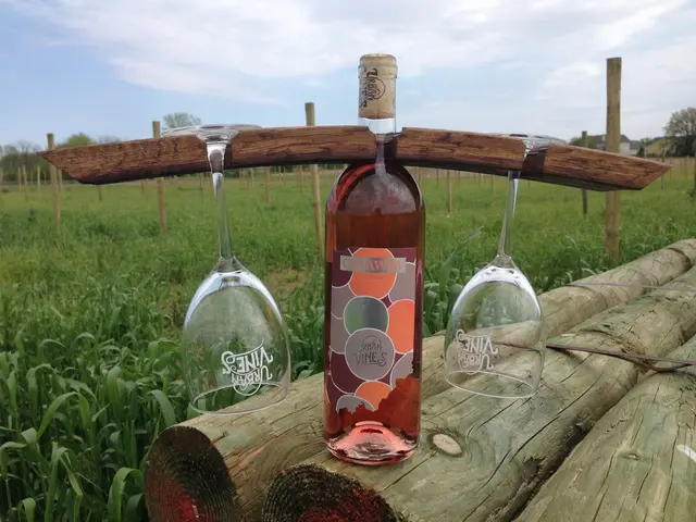 Urban Vines Winery & Brewery — photo from the business 3