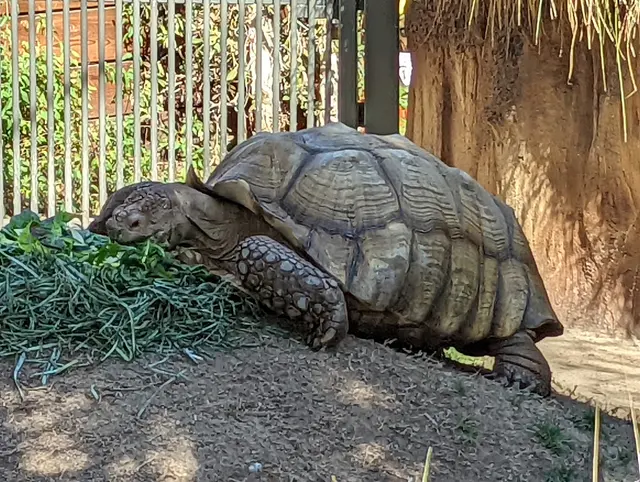 Palo Alto Junior Museum and Zoo — customer photo 8