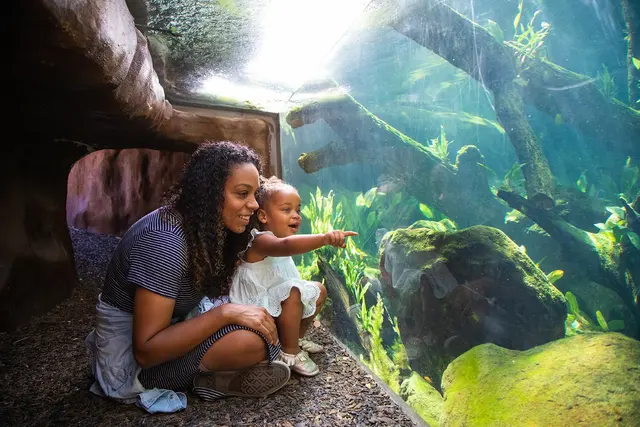 Palo Alto Junior Museum and Zoo — photo from the business 1