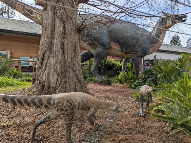 Palo Alto Junior Museum and Zoo — customer photo 12