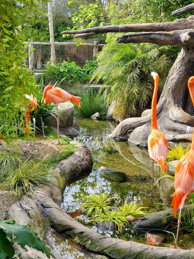 Palo Alto Junior Museum and Zoo — customer photo 5