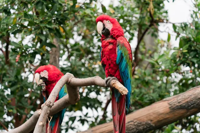 Palo Alto Junior Museum and Zoo — customer photo 9